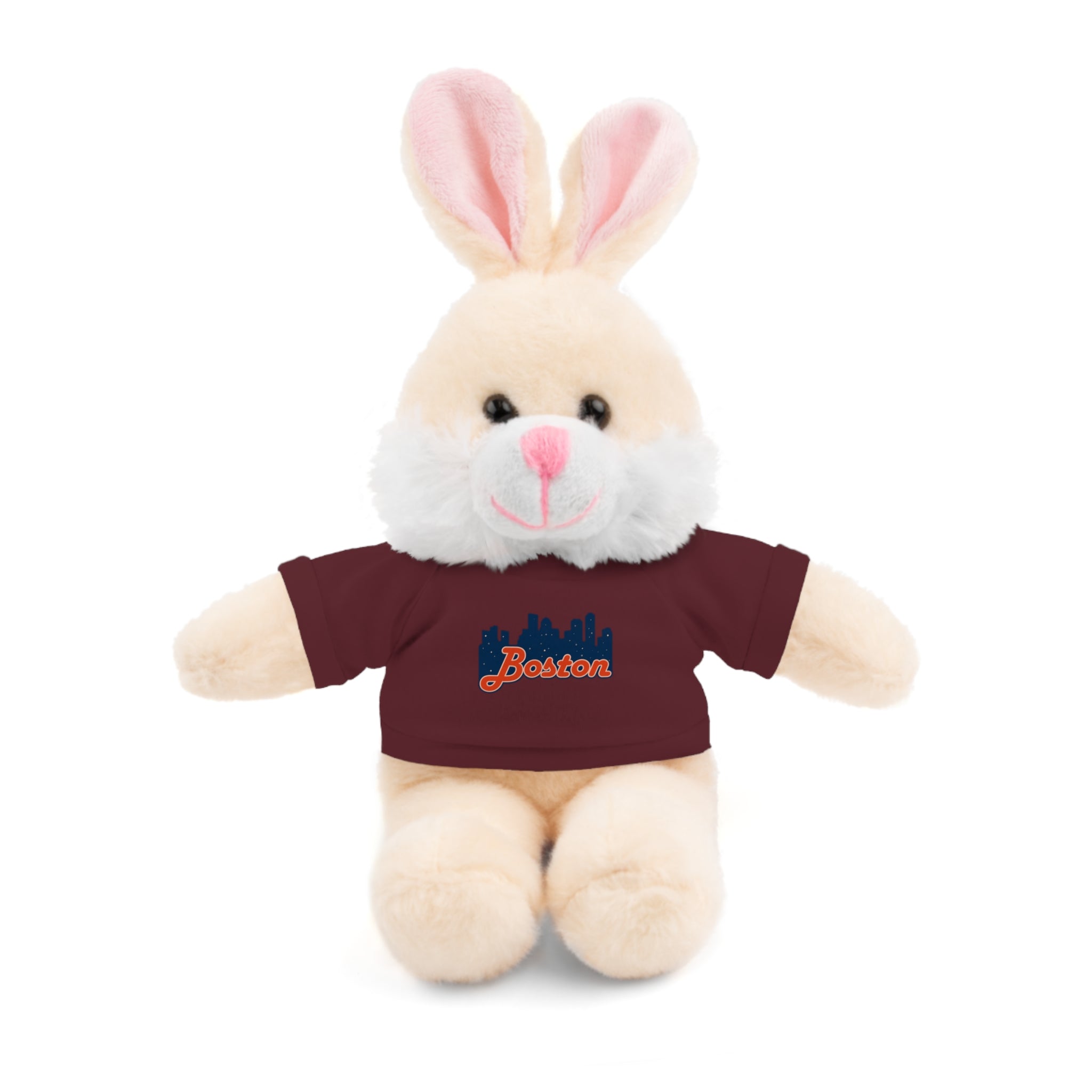 Boston Skyline Teddy Bear with 'Boston' Tee — Plush Souvenir Gift