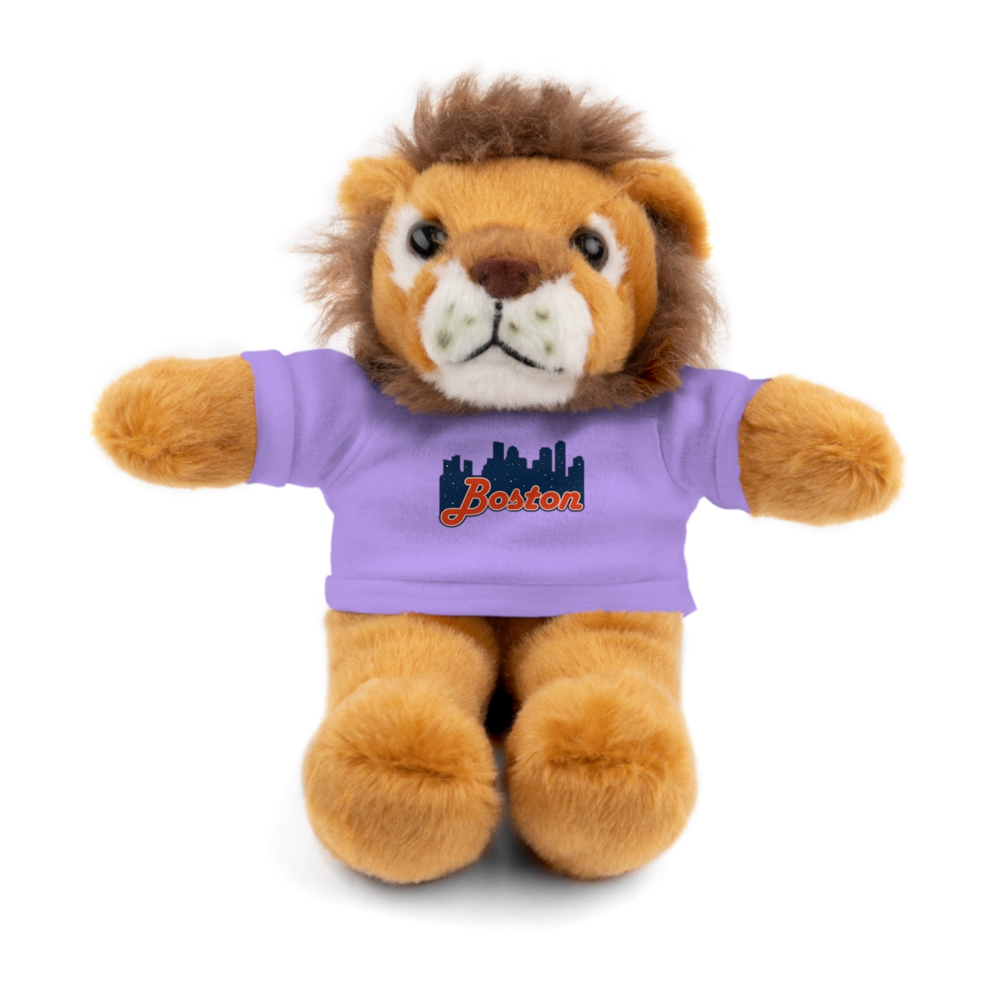 Boston Skyline Teddy Bear with 'Boston' Tee — Plush Souvenir Gift