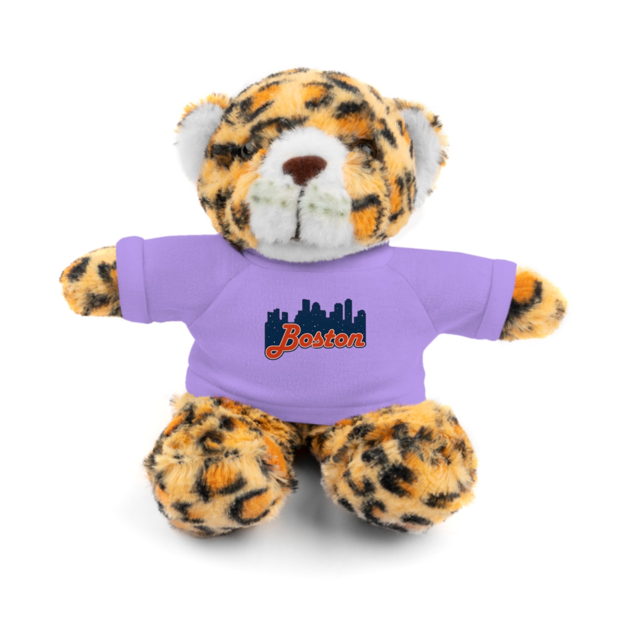 Boston Skyline Teddy Bear with 'Boston' Tee — Plush Souvenir Gift