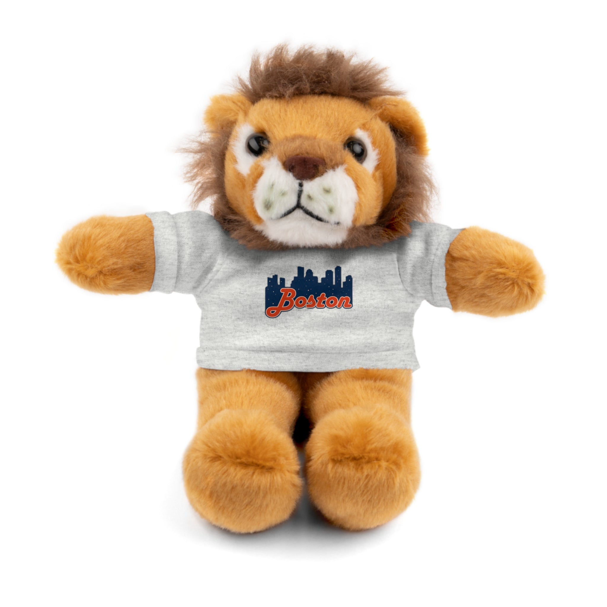 Boston Skyline Teddy Bear with 'Boston' Tee — Plush Souvenir Gift