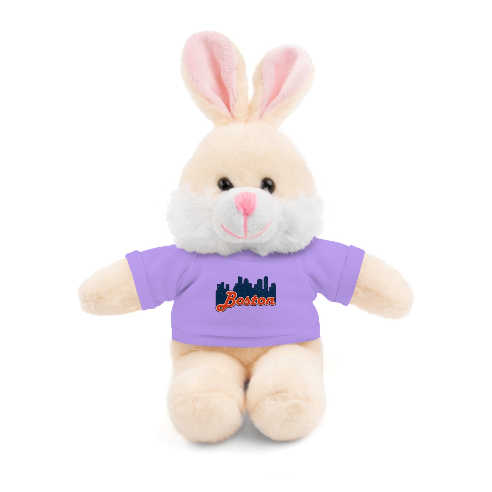 Boston Skyline Teddy Bear with 'Boston' Tee — Plush Souvenir Gift