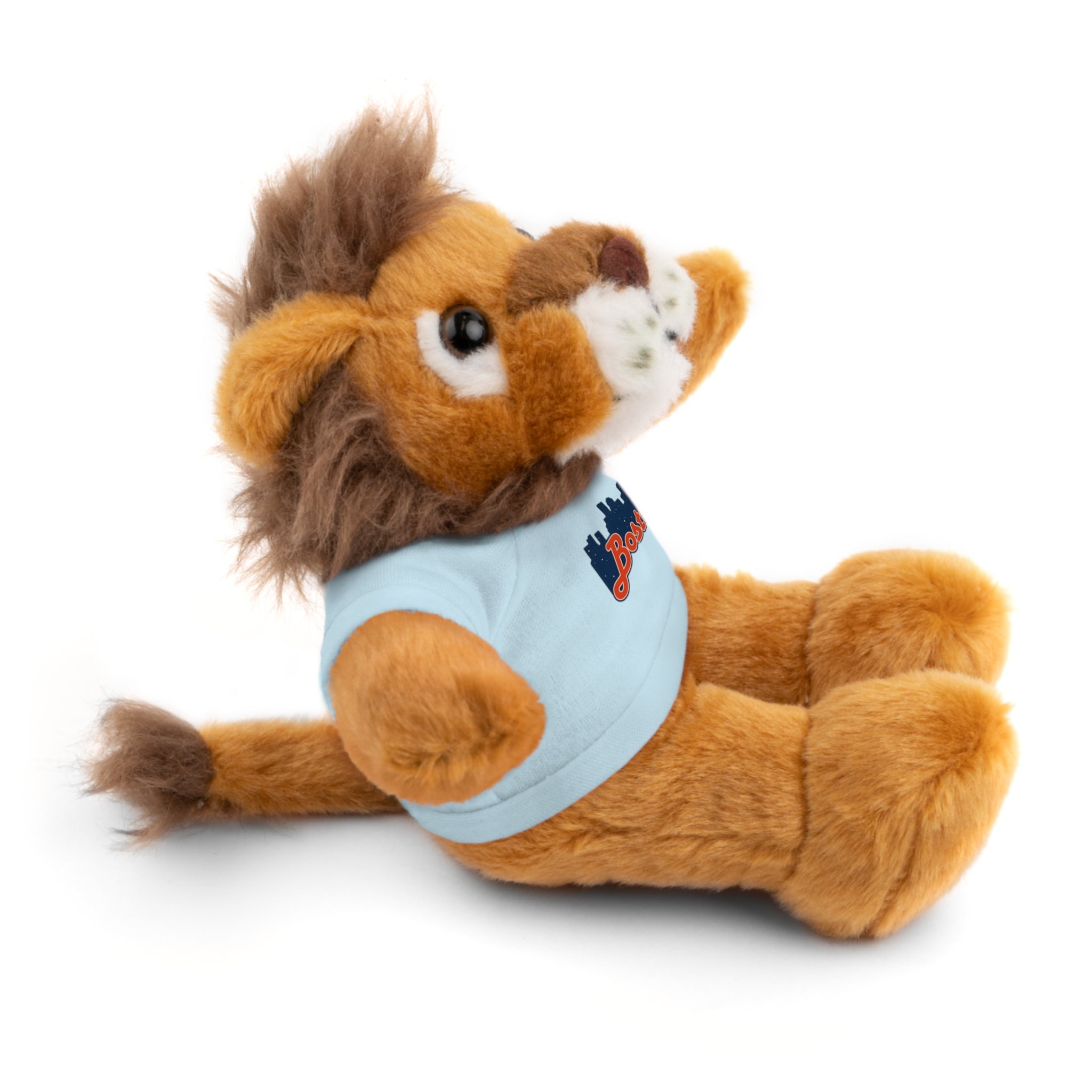 Boston Skyline Teddy Bear with 'Boston' Tee — Plush Souvenir Gift