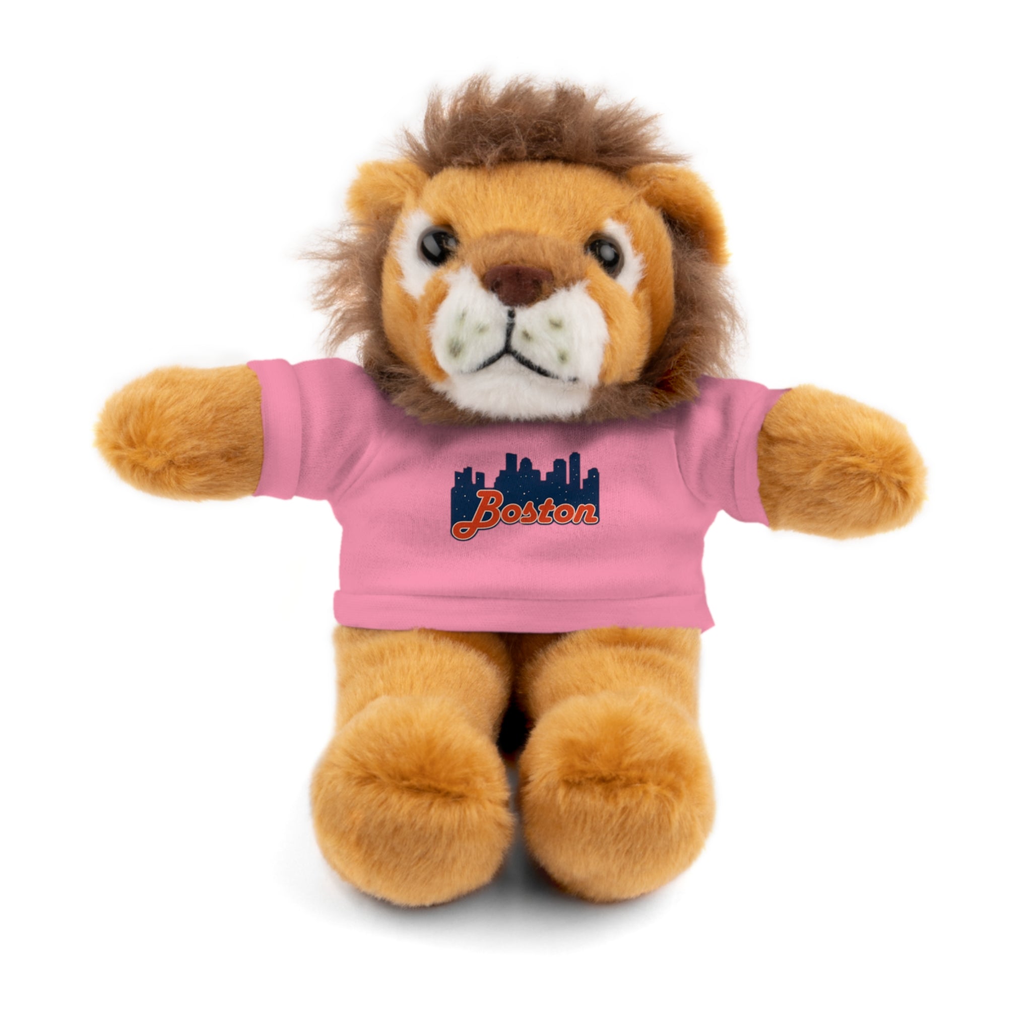 Boston Skyline Teddy Bear with 'Boston' Tee — Plush Souvenir Gift