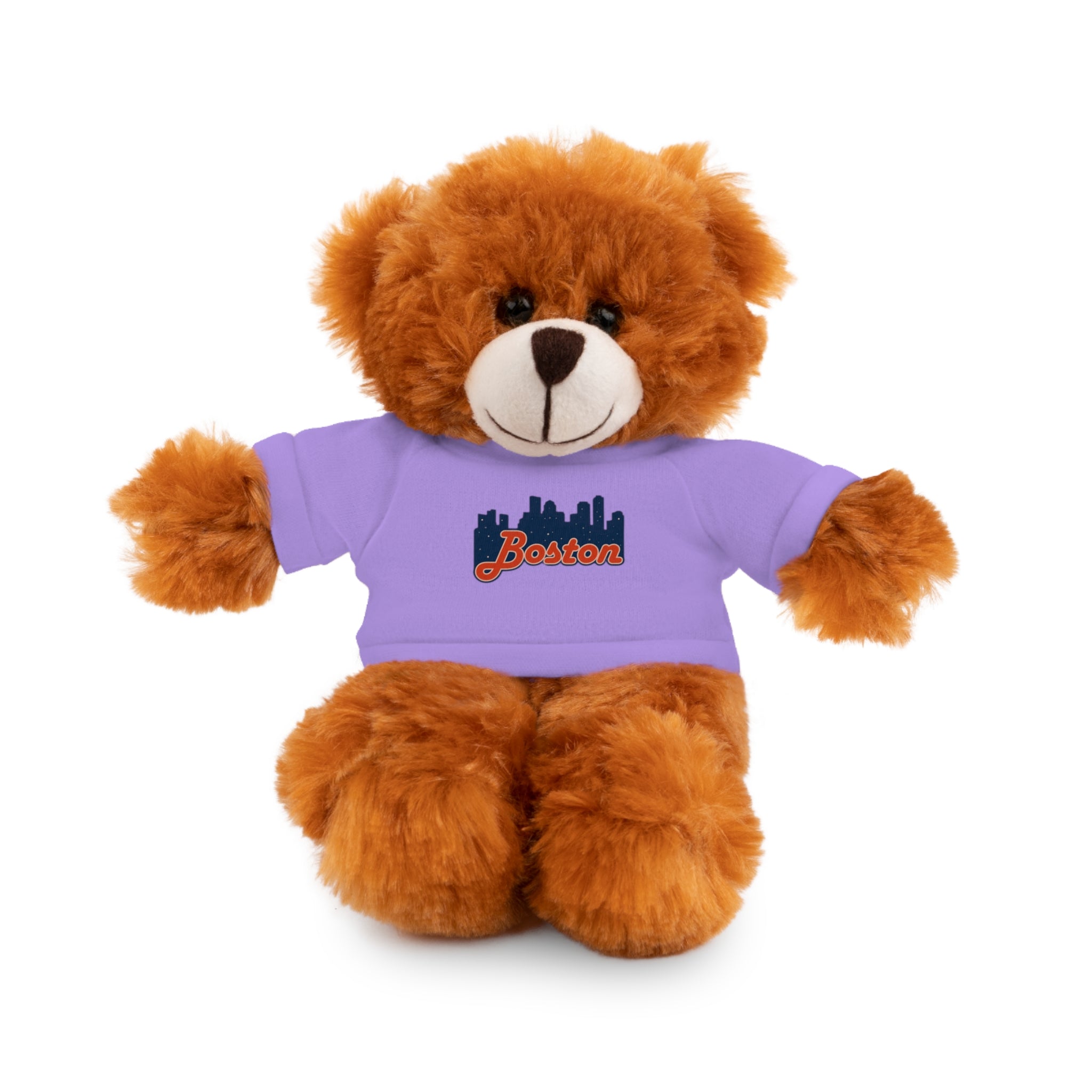 Boston Skyline Teddy Bear with 'Boston' Tee — Plush Souvenir Gift
